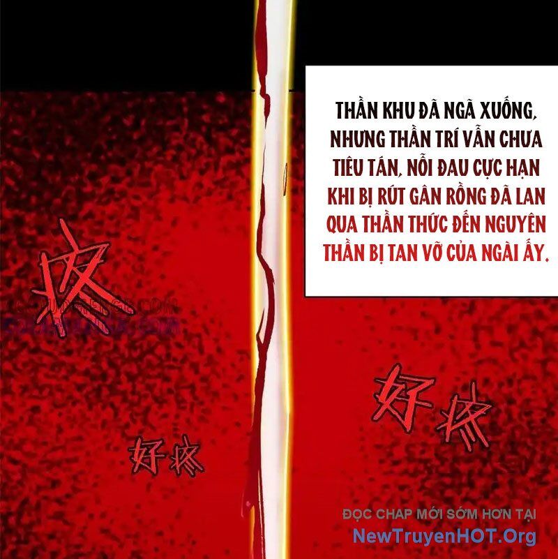 Cường Giả Đến Từ Trại Tâm Thần Chương 351 Ảnh 101