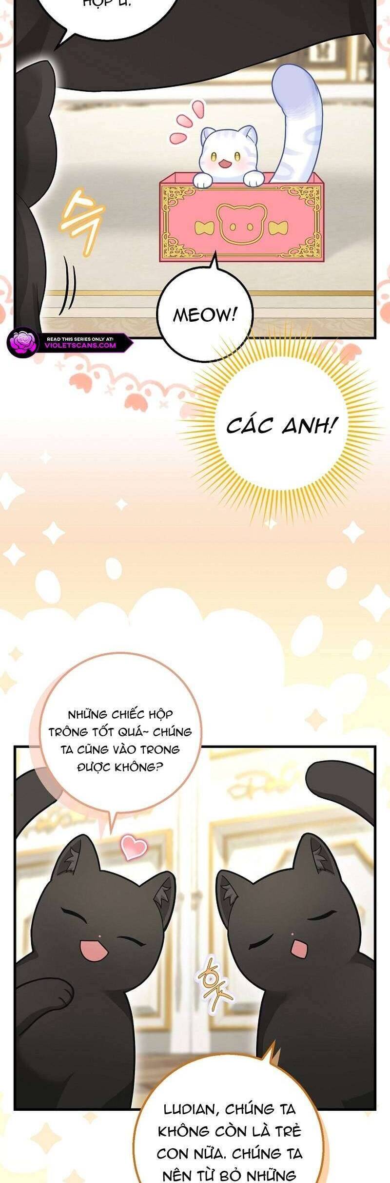 Bé Con Báo Tuyết Của Gia Tộc Báo Đen Chương 26 Ảnh 8
