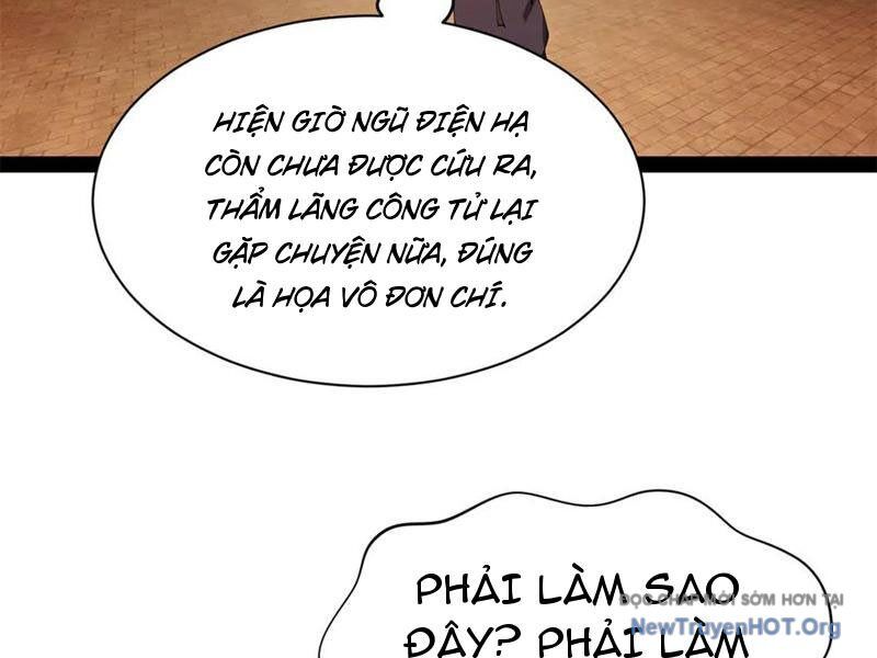 Chàng Rể Mạnh Nhất Lịch Sử Chương 314 Ảnh 111