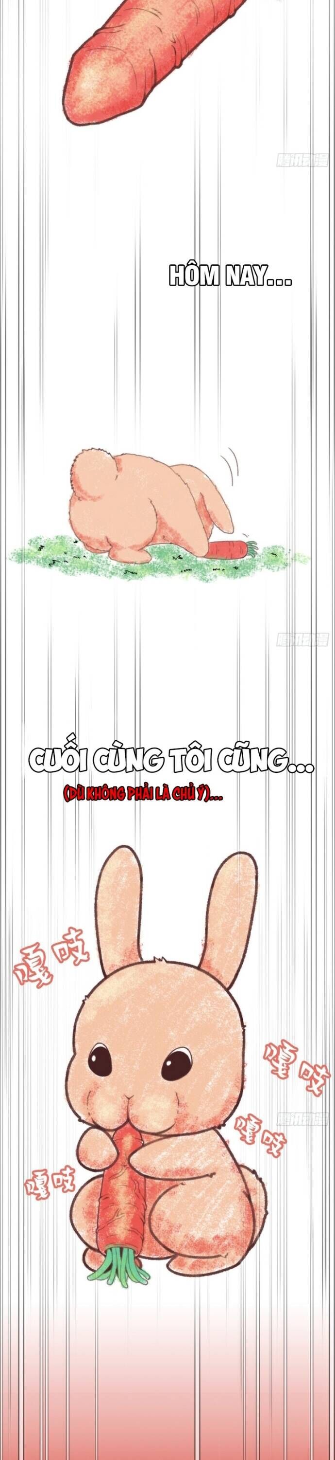 Hệ Thống Tận Thế Của Tôi Sụp Đổ Rồi Chương 7 Ảnh 17