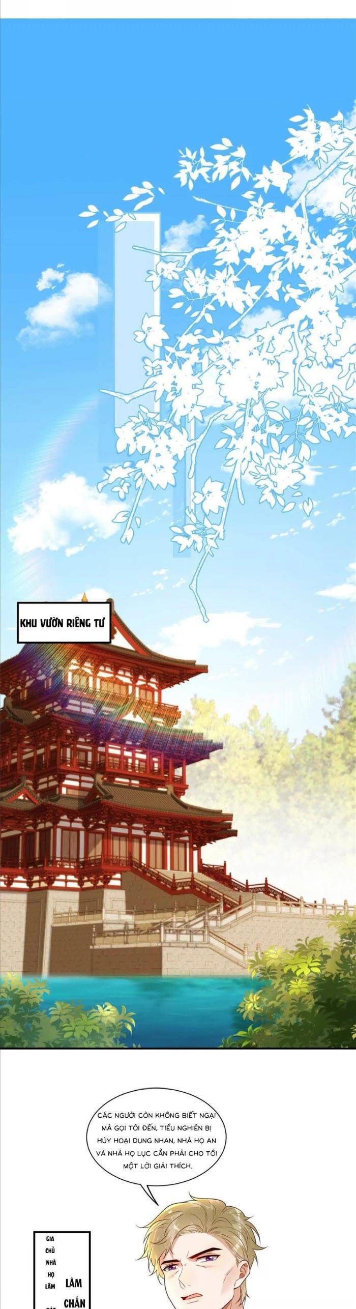 Cô Vợ Nhỏ Cứ Thích Phá Vỡ Hình Tượng Chương 35 Ảnh 14