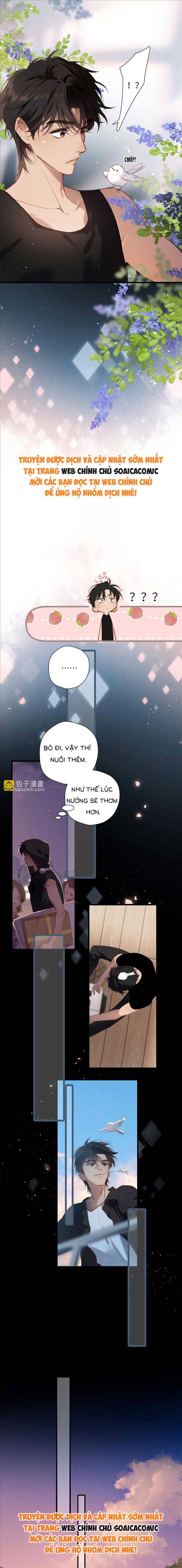 Tố Hồi Xuân Thời Chương 32 Ảnh 9