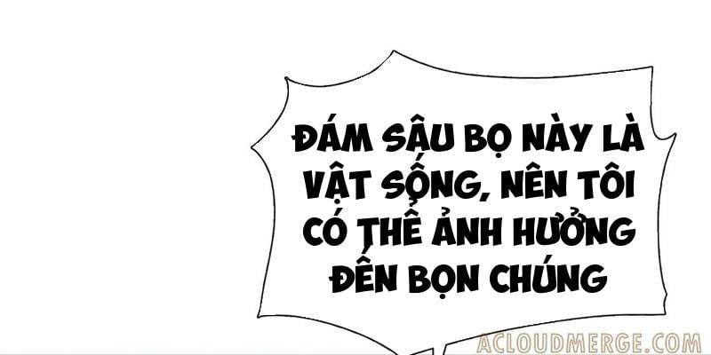 Kẻ Tàn Nhẫn Ngày Tận Thế: Bắt Đầu Dự Trữ Hàng Tỉ Tấn Vật Tư Chương 75 Ảnh 126