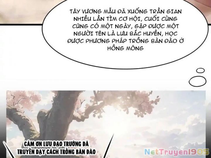Trụ Vương Tái Sinh Không Muốn Làm Đại Phản Diện Chương 131 Ảnh 46