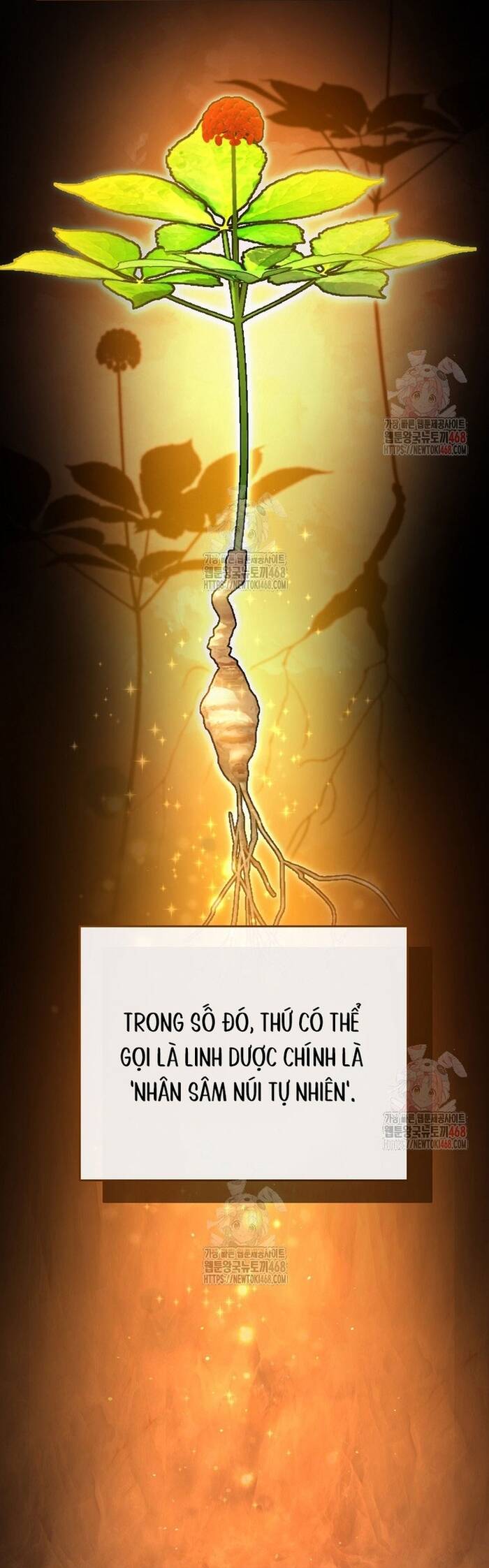 Kiếm Thánh Thiên Tài Của Học Viện Chương 13 Ảnh 16