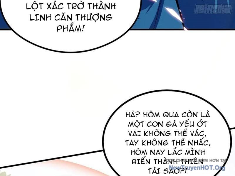 Hoá Ra Ta Đã Vô Địch Từ Lâu Chương 318 Ảnh 80