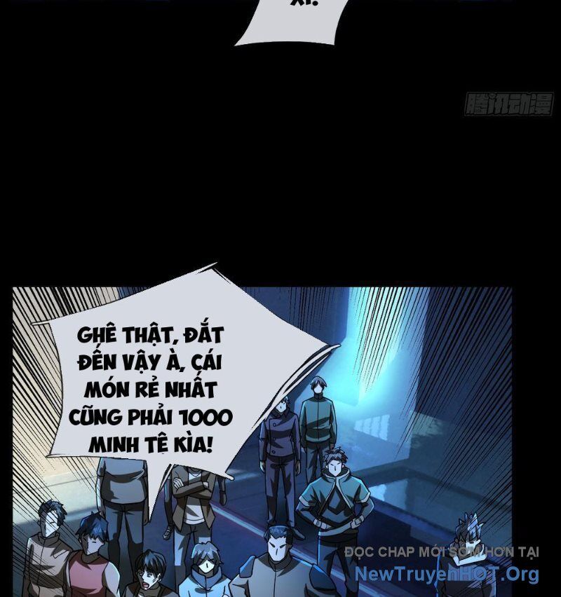 Toàn Cầu Sợ Hãi: Tôi Mở Hack Tự Chọn Cửa Hàng Chương 11 Ảnh 17