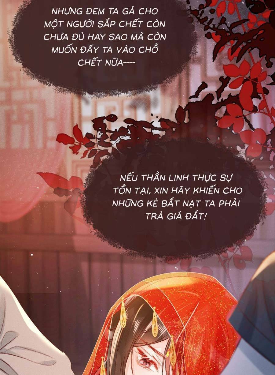 Xuyên Không Về Gả Cho Vương Gia Ốm Yếu Chương 1 Ảnh 27