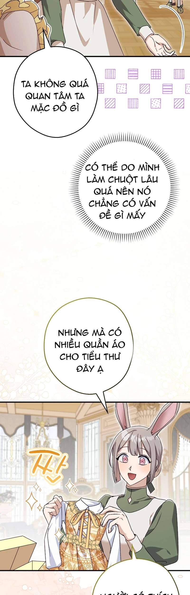 Chuột Đồng Này Sẽ Đưa Lọ Lem Đi Chương 9 Ảnh 11