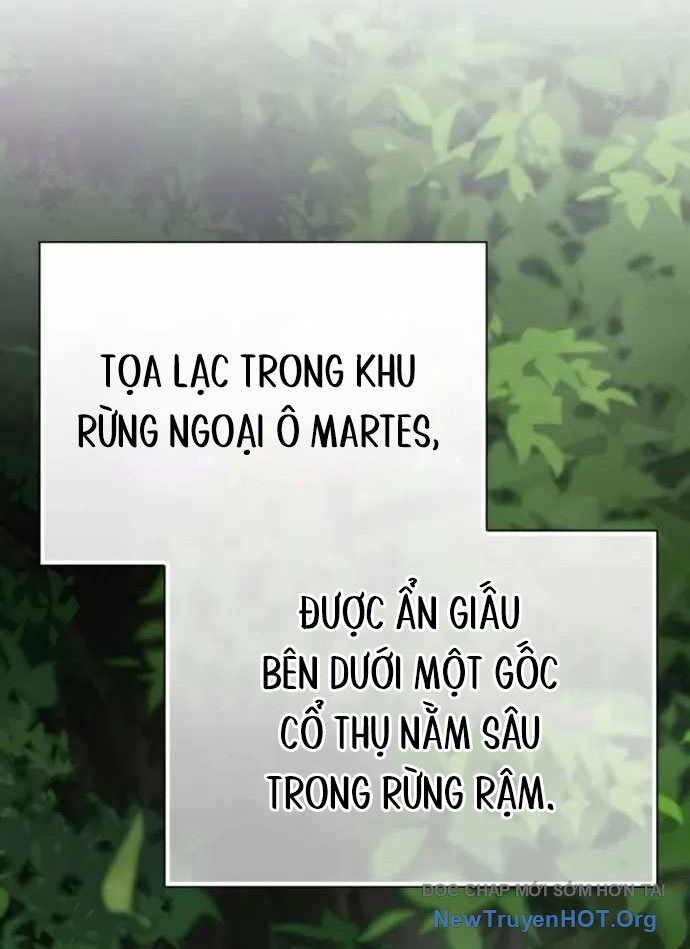 Pháp Sư Thiên Tài Phá Vỡ Giới Hạn Chương 17 Ảnh 12