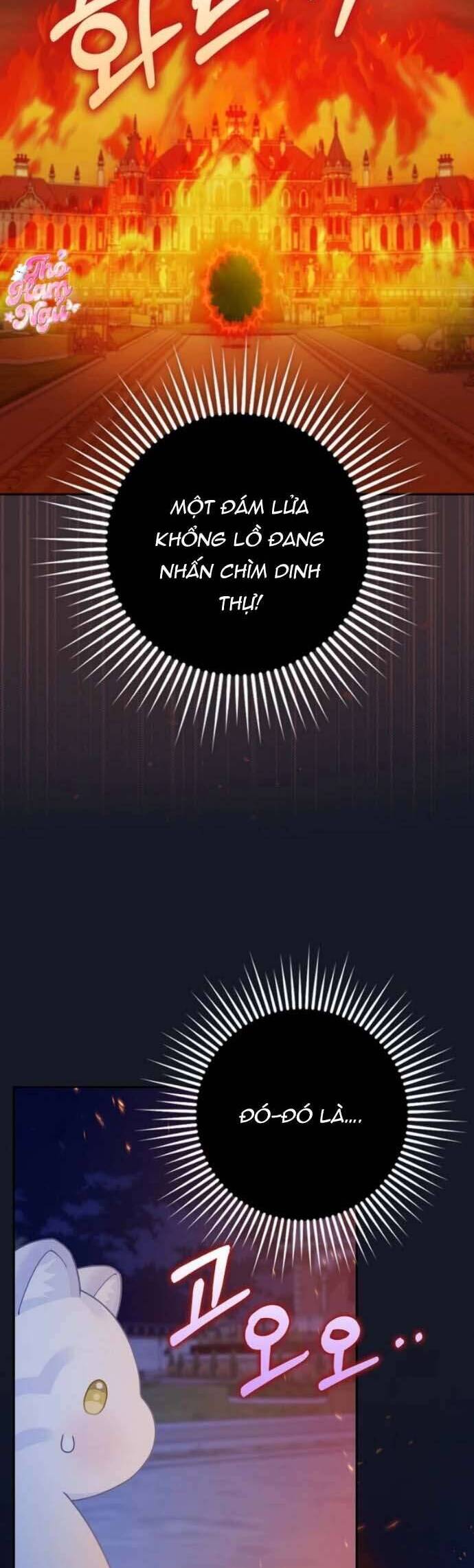Bé Con Báo Tuyết Của Gia Tộc Báo Đen Chương 41 Ảnh 12