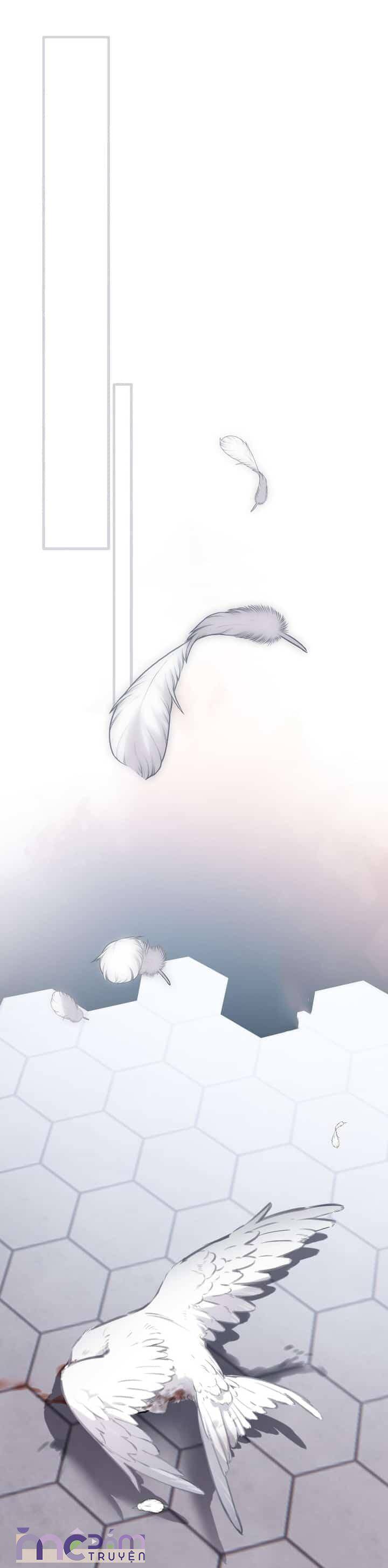 Dã Thú Khi Yêu Chương 33 Ảnh 11