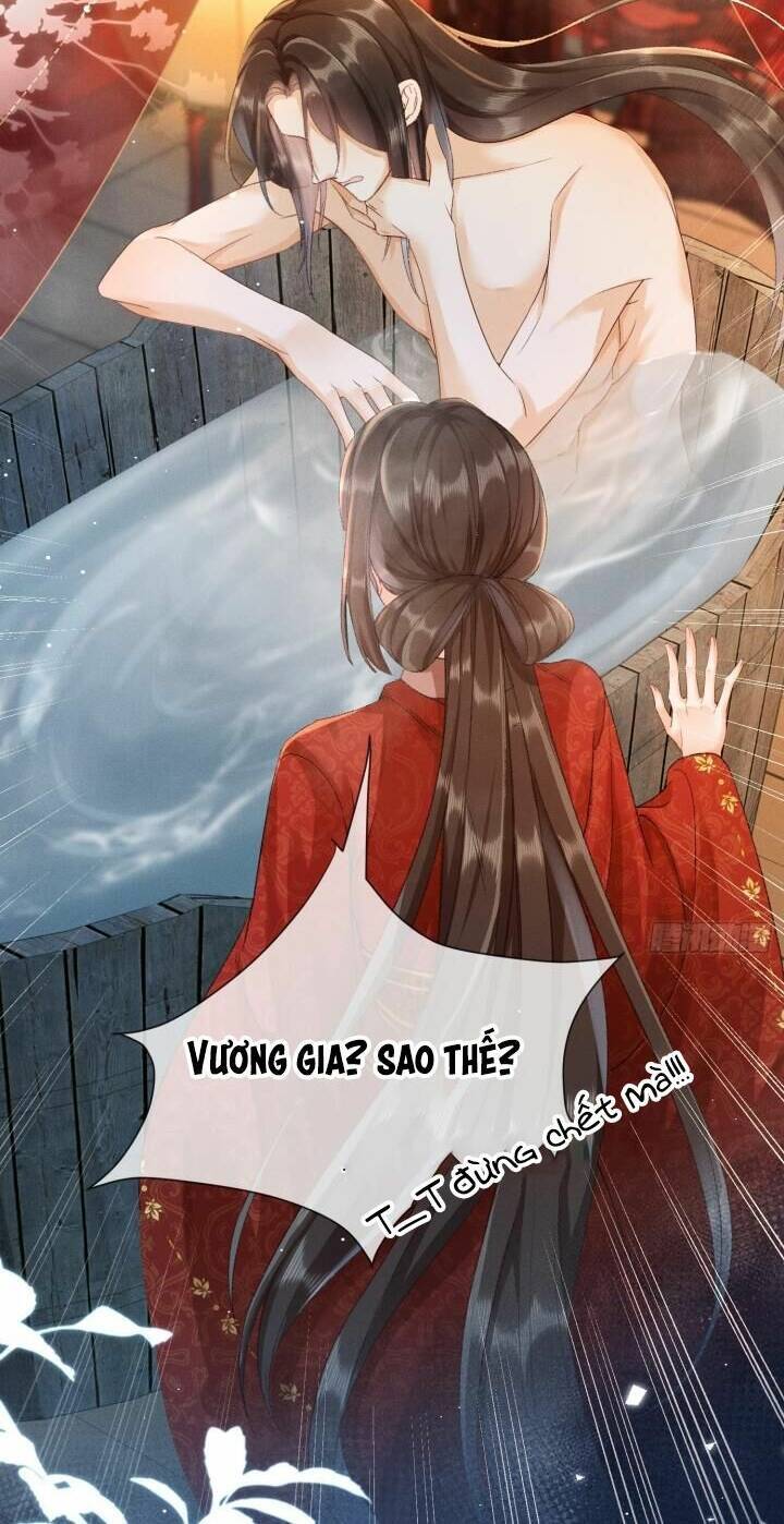Kế Hoạch Nuôi Dưỡng Bệnh Kiều Vương Gia Chương 3 Ảnh 33