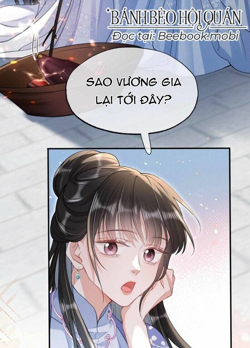 Kế Hoạch Nuôi Dưỡng Bệnh Kiều Vương Gia Chương 20 Ảnh 14