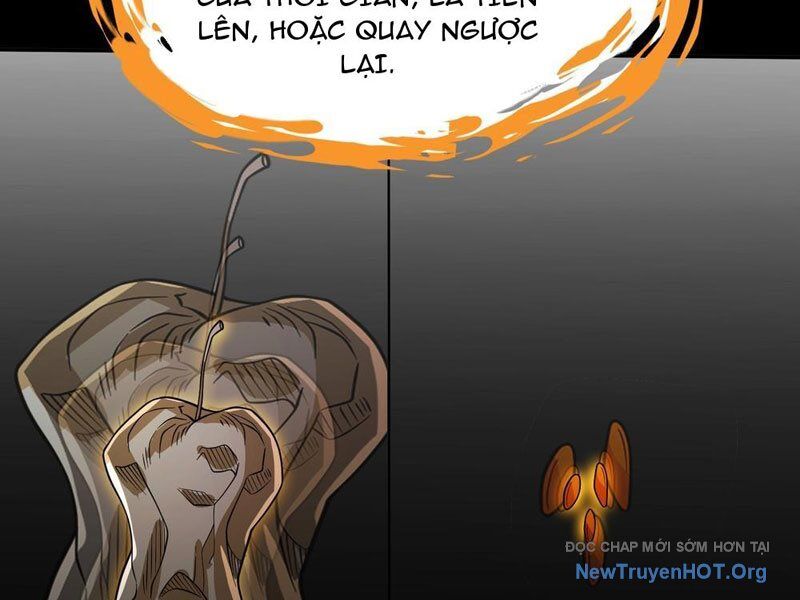 Trùng Sinh Tại Thế Giới Tu Chân, Ta Giết Tới Đỉnh Chương 22 Ảnh 10