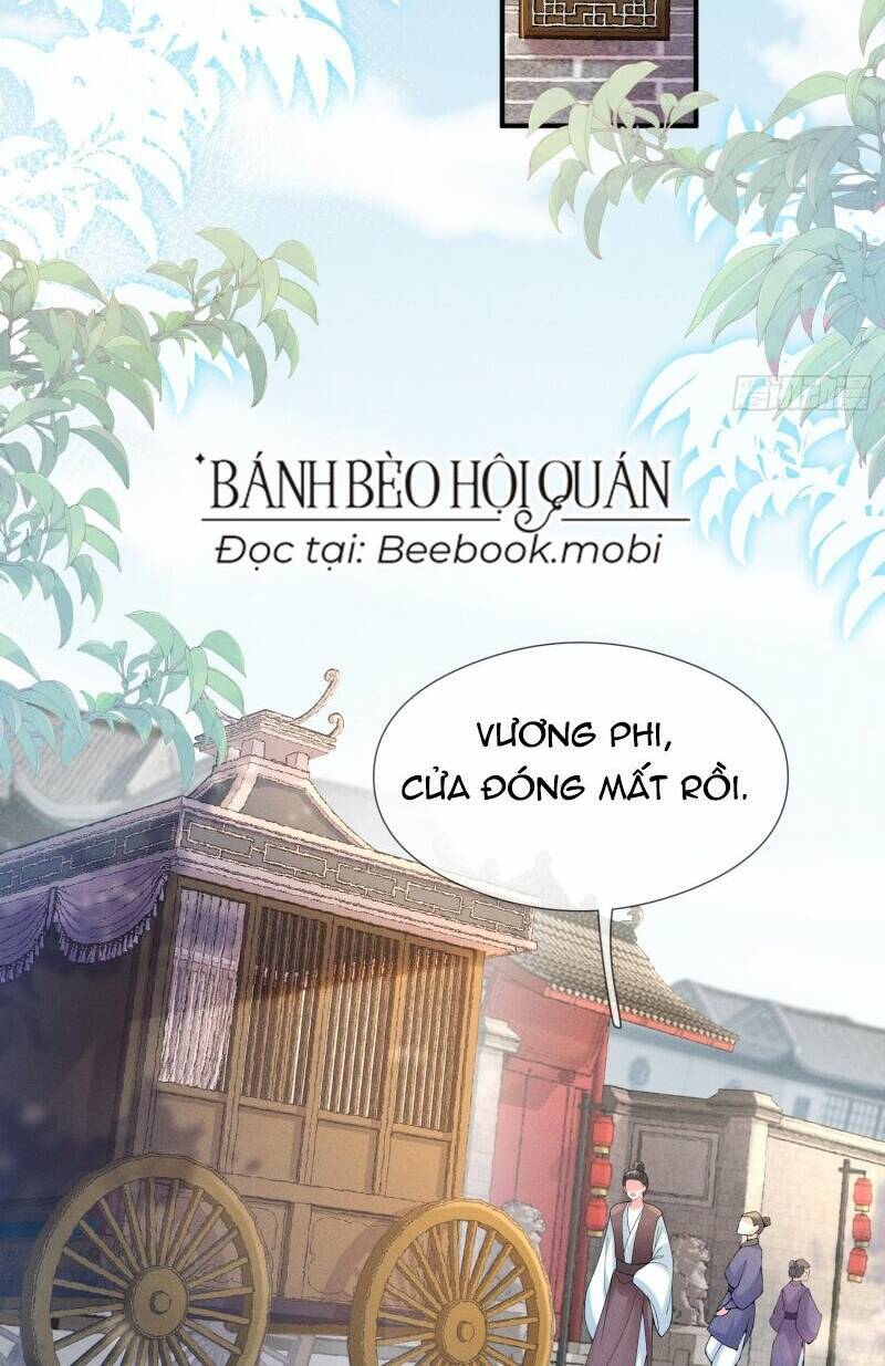 Kế Hoạch Nuôi Dưỡng Bệnh Kiều Vương Gia Chương 10 Ảnh 14