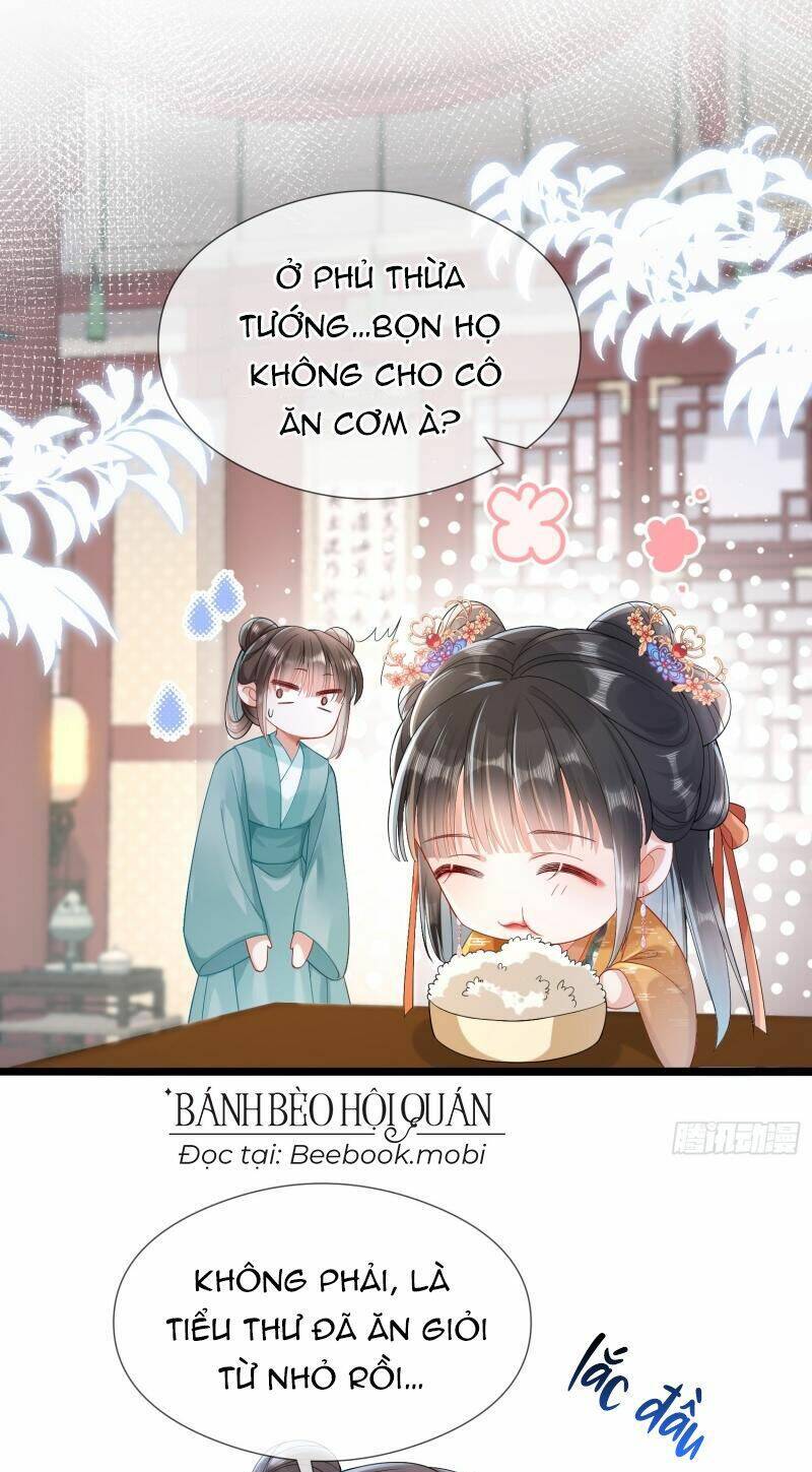 Kế Hoạch Nuôi Dưỡng Bệnh Kiều Vương Gia Chương 8 Ảnh 3
