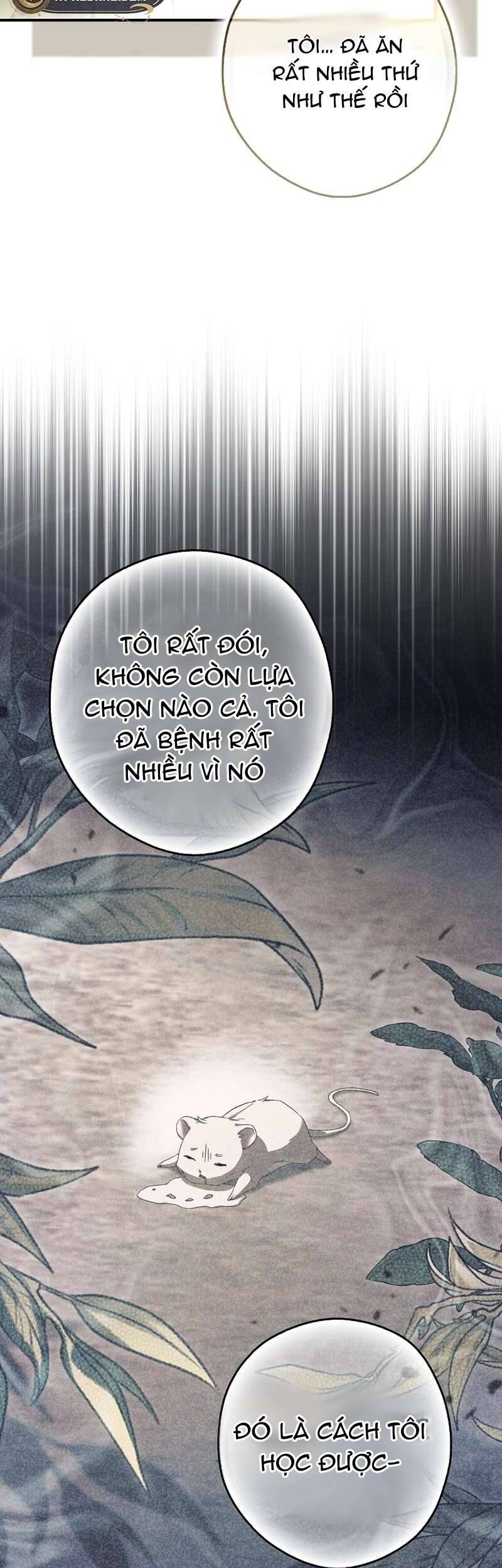 Chuột Đồng Này Sẽ Đưa Lọ Lem Đi Chương 11 Ảnh 48