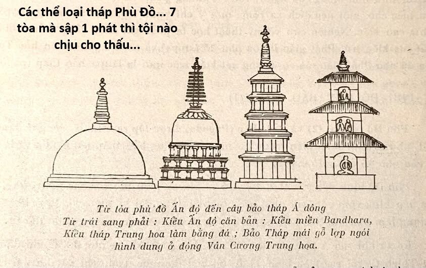 Hổ Đến Chơi Nhà (Puchimasu Miếu) Chương 148 Ảnh 50