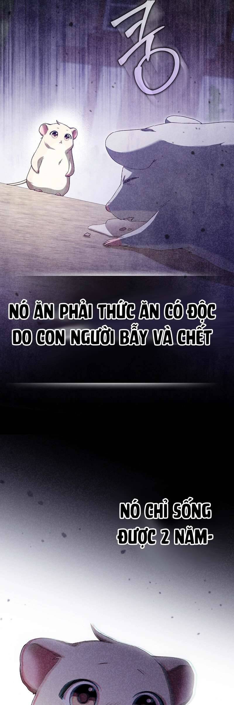 Chuột Đồng Này Sẽ Đưa Lọ Lem Đi Chương 11 Ảnh 54