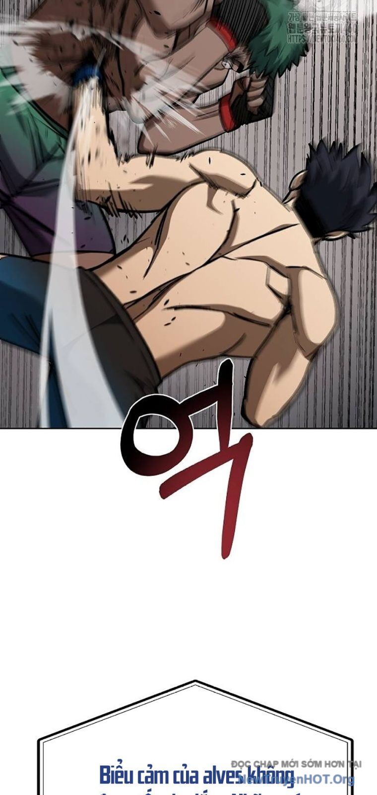 Vua Võ Đài Chương 132 Ảnh 47