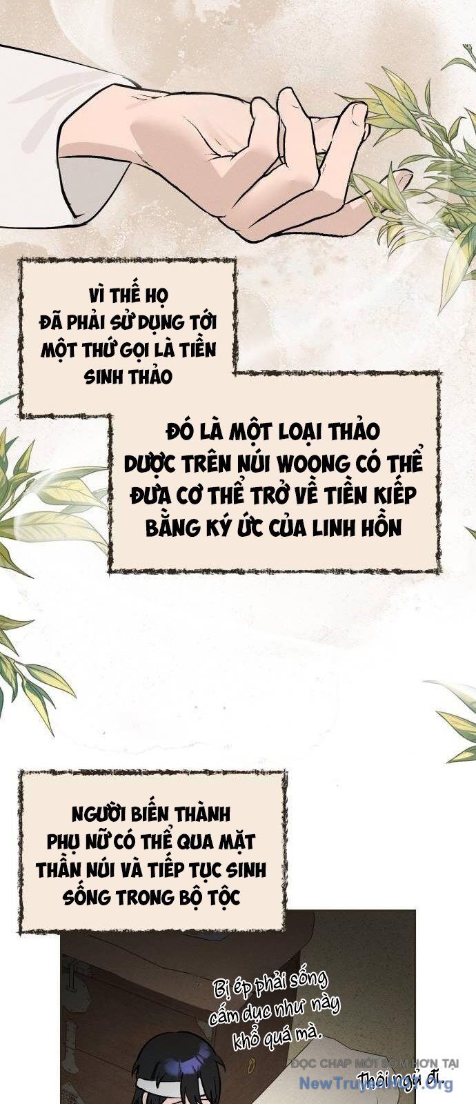 Hôm Nay Han Yoil Là Phụ Nữ Chương 18 Ảnh 51