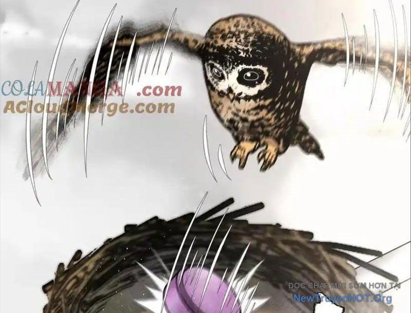 Trò Chơi Vô Vọng Chương 26 Ảnh 58