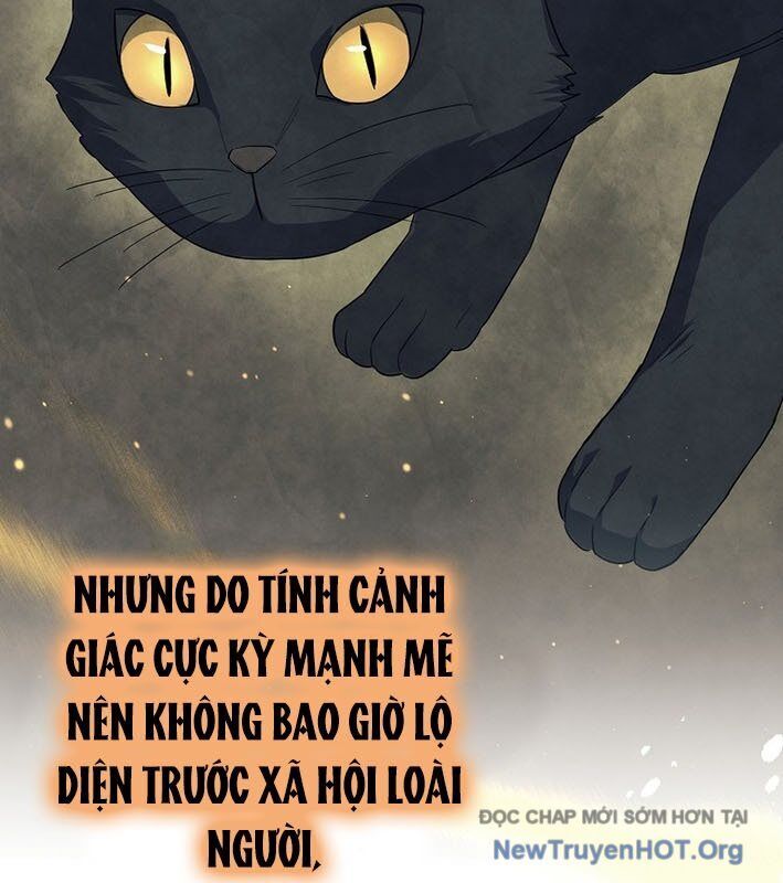 Ma Pháp Quân Chủ Chương 13 Ảnh 69