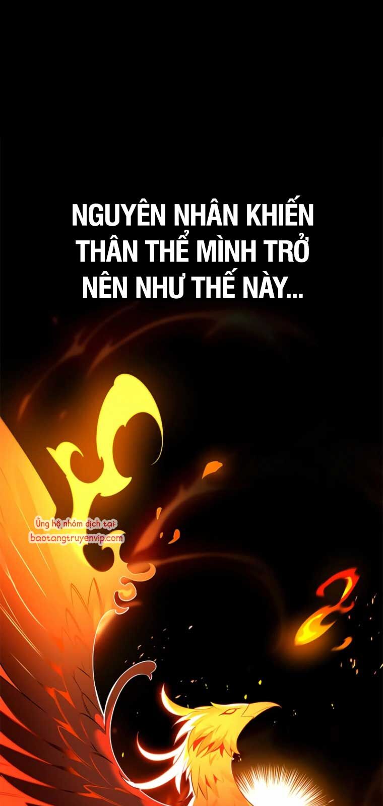 Healer Cấp S Chữa Trị Cho Quái Vật Chương 2 Ảnh 7