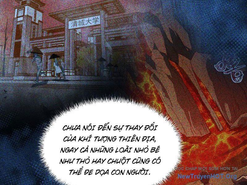 Sau Khi Chia Tay Hoa Khôi, Võ Đạo Của Ta Thẳng Tới Cấp Thần Chương 7 Ảnh 38