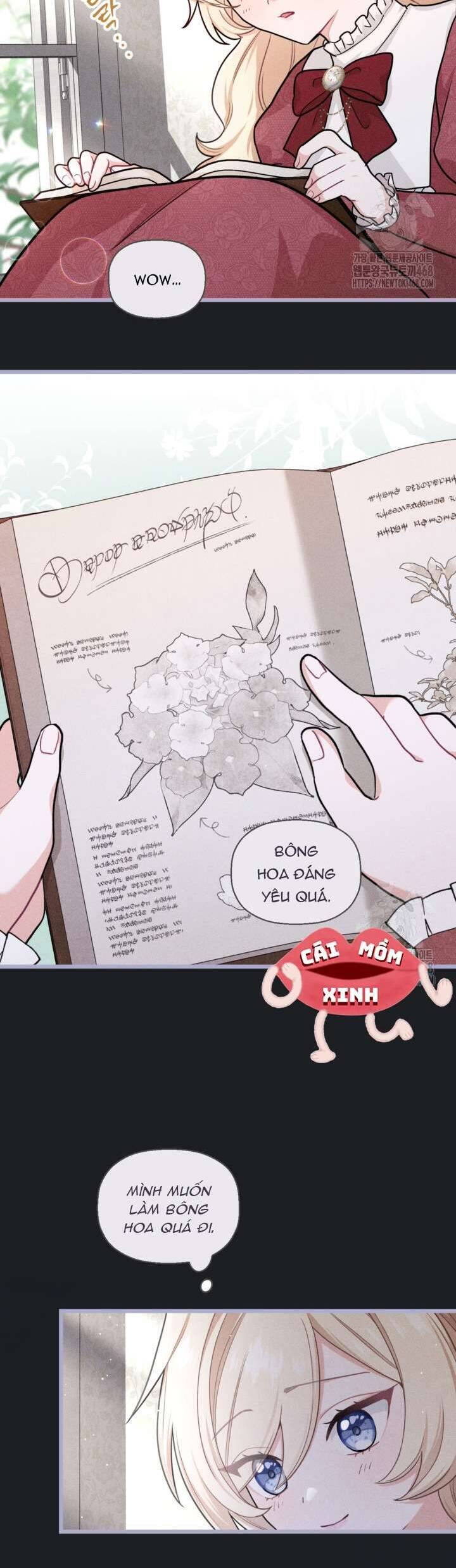 Bệ Hạ, Xin HãY Quên Tôi Đi Chương 10 Ảnh 23