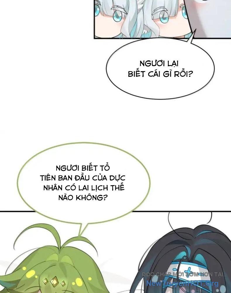 Vượt Cấp Xuyên Không, Tại Sao Tôi Lại Trở Thành Tiểu Thư Tu Sĩ? Chương 44 Ảnh 19