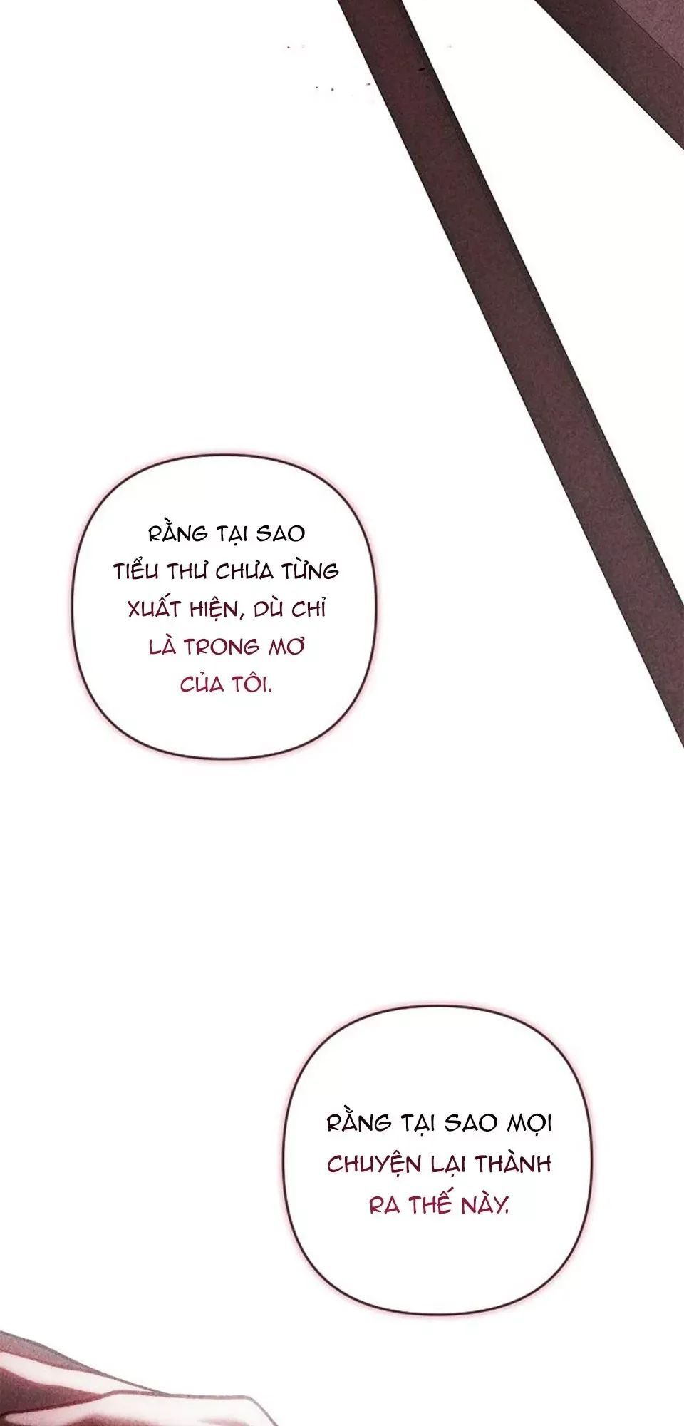 Cuộc Hôn Nhân Này Dù Sao Cũng Sẽ Tan Vỡ Mà Thôi Chương 102 Ảnh 47