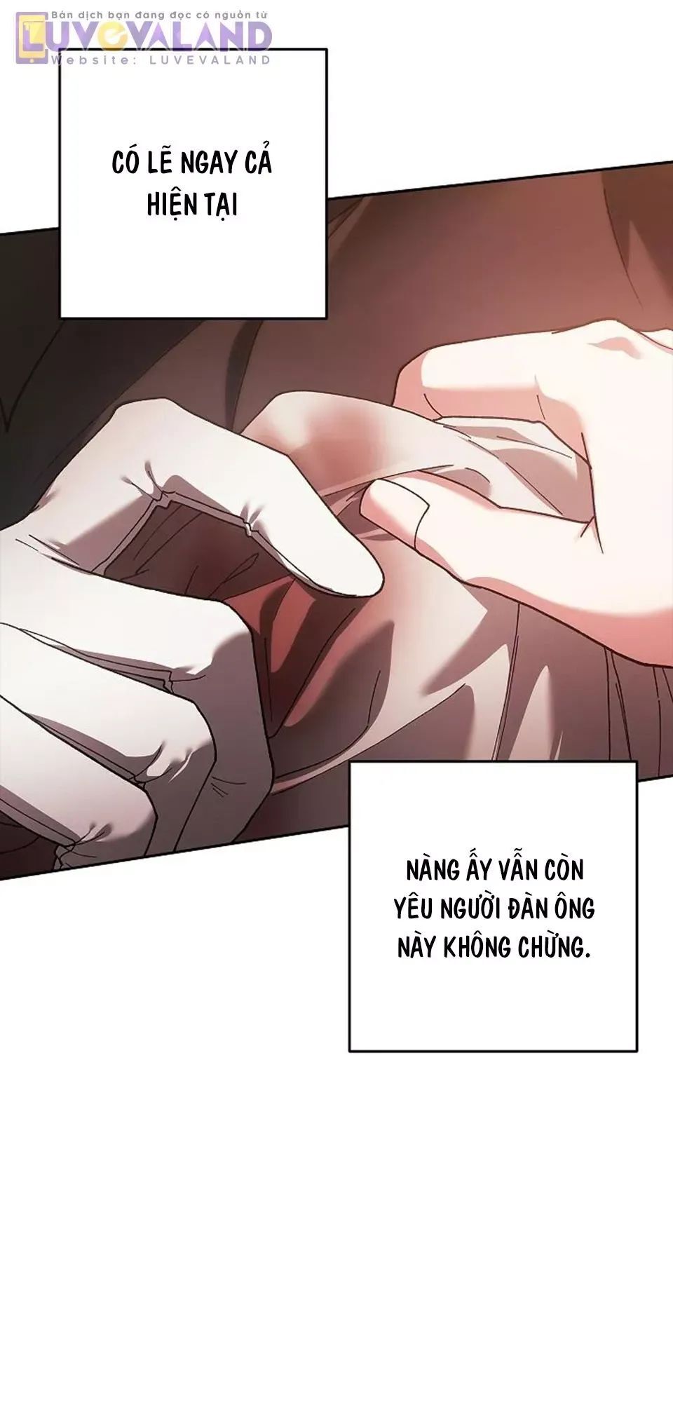 Cuộc Hôn Nhân Này Dù Sao Cũng Sẽ Tan Vỡ Mà Thôi Chương 101 Ảnh 152