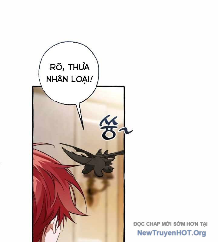 Sự Ra Đời Của Một Anh Hùng Chương 160 Ảnh 59
