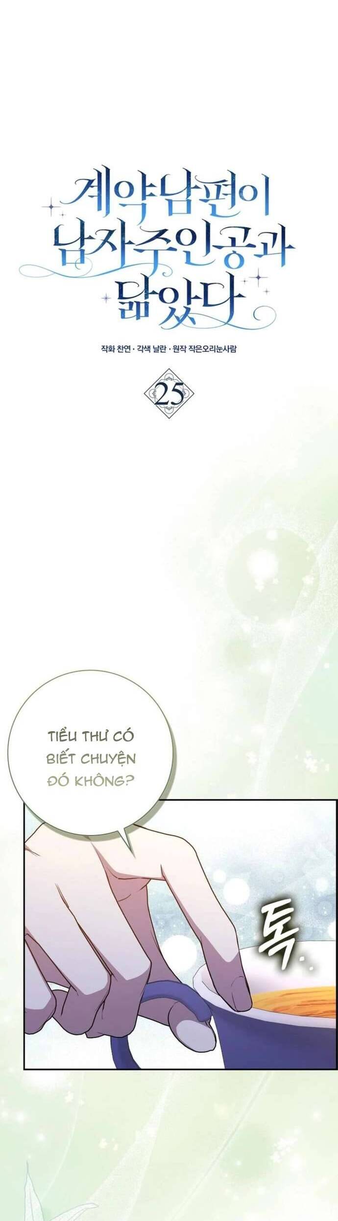 Chồng Của Tôi Giống Nam Chính Quá Đi Chương 25 Ảnh 12
