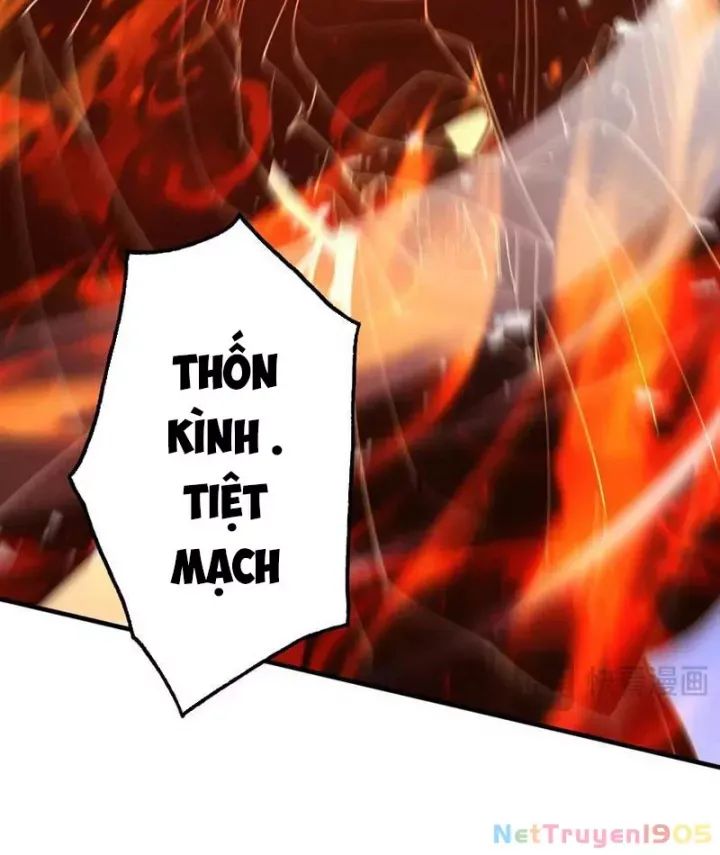 Gặp Mạnh Thì Càng Mạnh, Tu Vi Của Ta Không Giới Hạn Chương 66 Ảnh 53