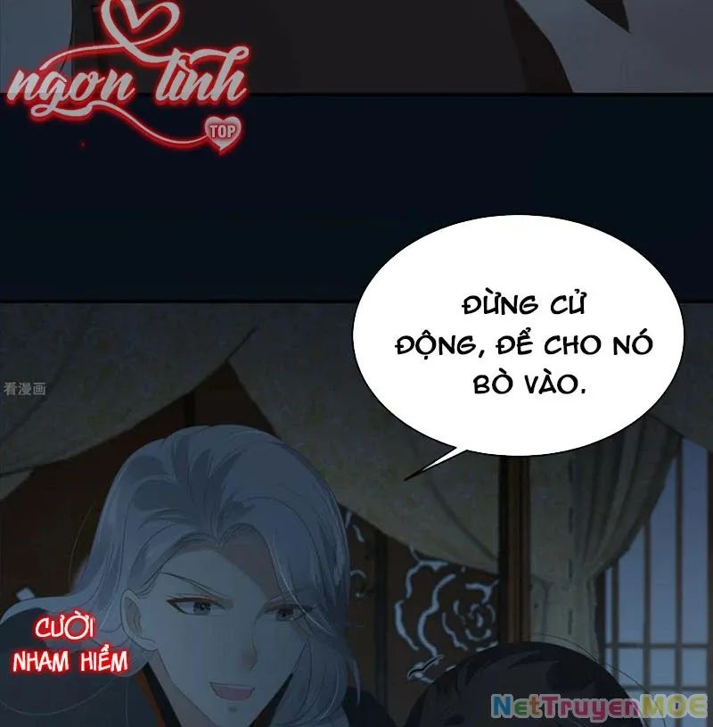 Tà Vương Phúc Hắc Sủng Nhập Cốt Chương 194 Ảnh 9