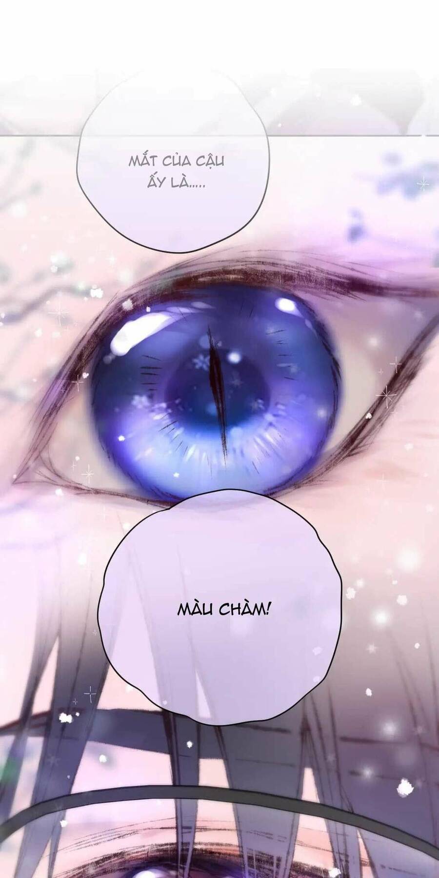 Cạm Bẫy Của Hồ Ly Chương 63 Ảnh 4