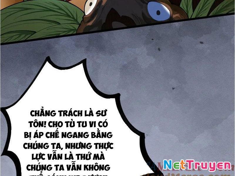 Gặp Mạnh Thì Mạnh, Ta Tu Vi Vô Thượng Hạn Chương 47 Ảnh 177