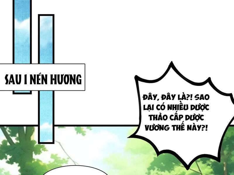 Gặp Mạnh Thì Mạnh, Ta Tu Vi Vô Thượng Hạn Chương 49 Ảnh 70