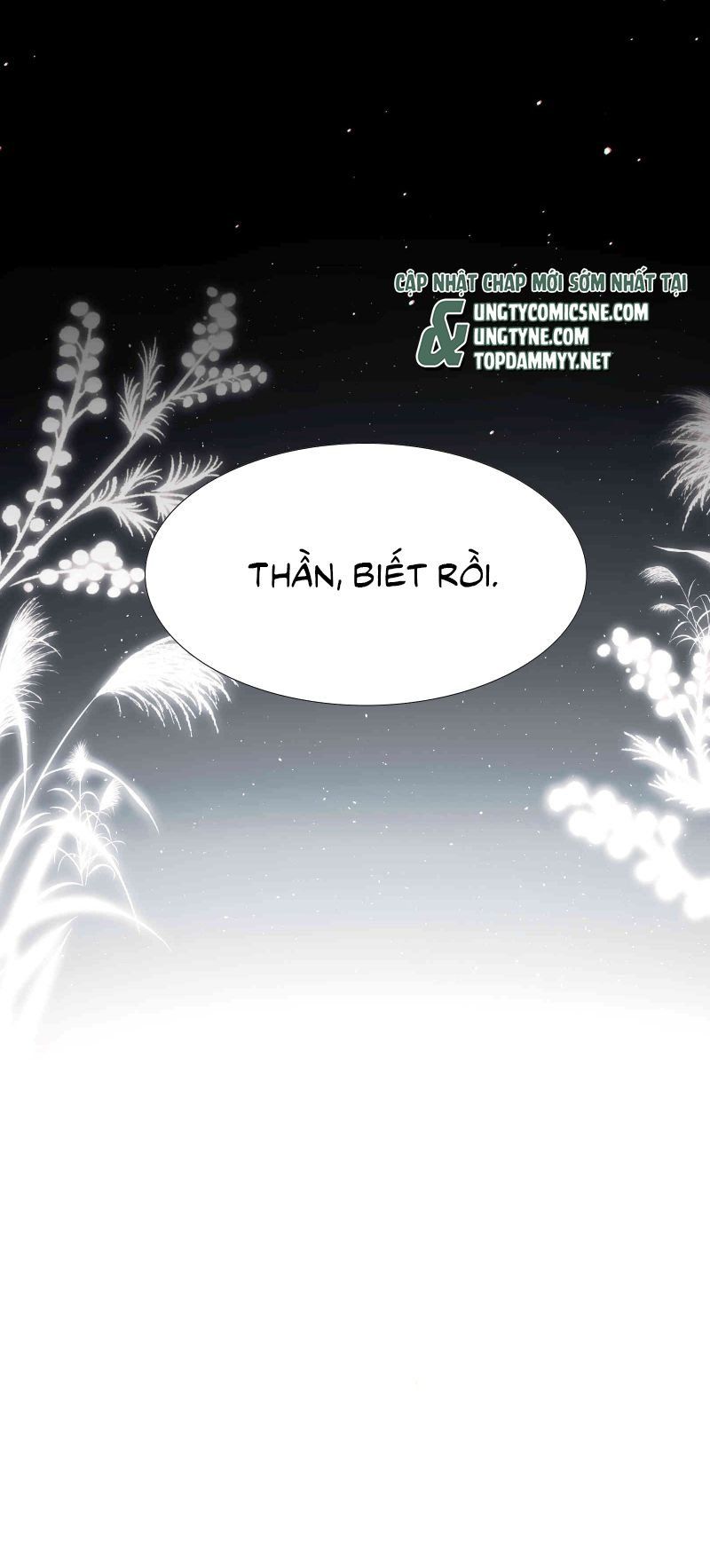 Kim Phong Ngọc Lộ Chương 29 Ảnh 21