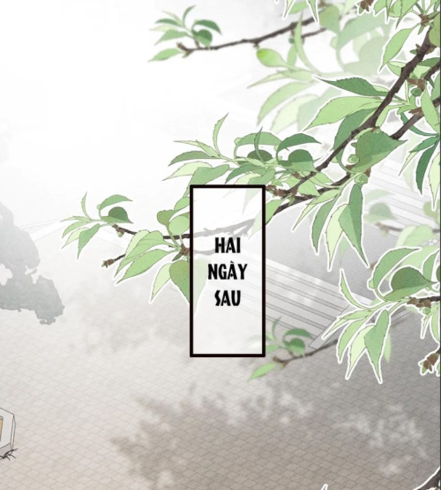 Đứt Cương Chương 30 Ảnh 11