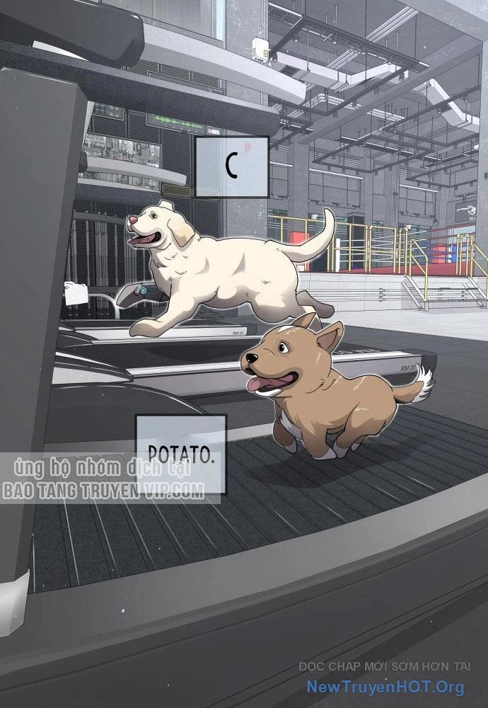 Kĩ Nguyên Của Anh Hùng Chương 199 Ảnh 117