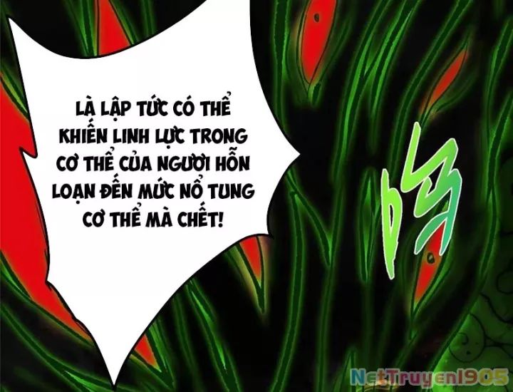 Chưởng Môn Khiêm Tốn Chút Chương 541 Ảnh 50