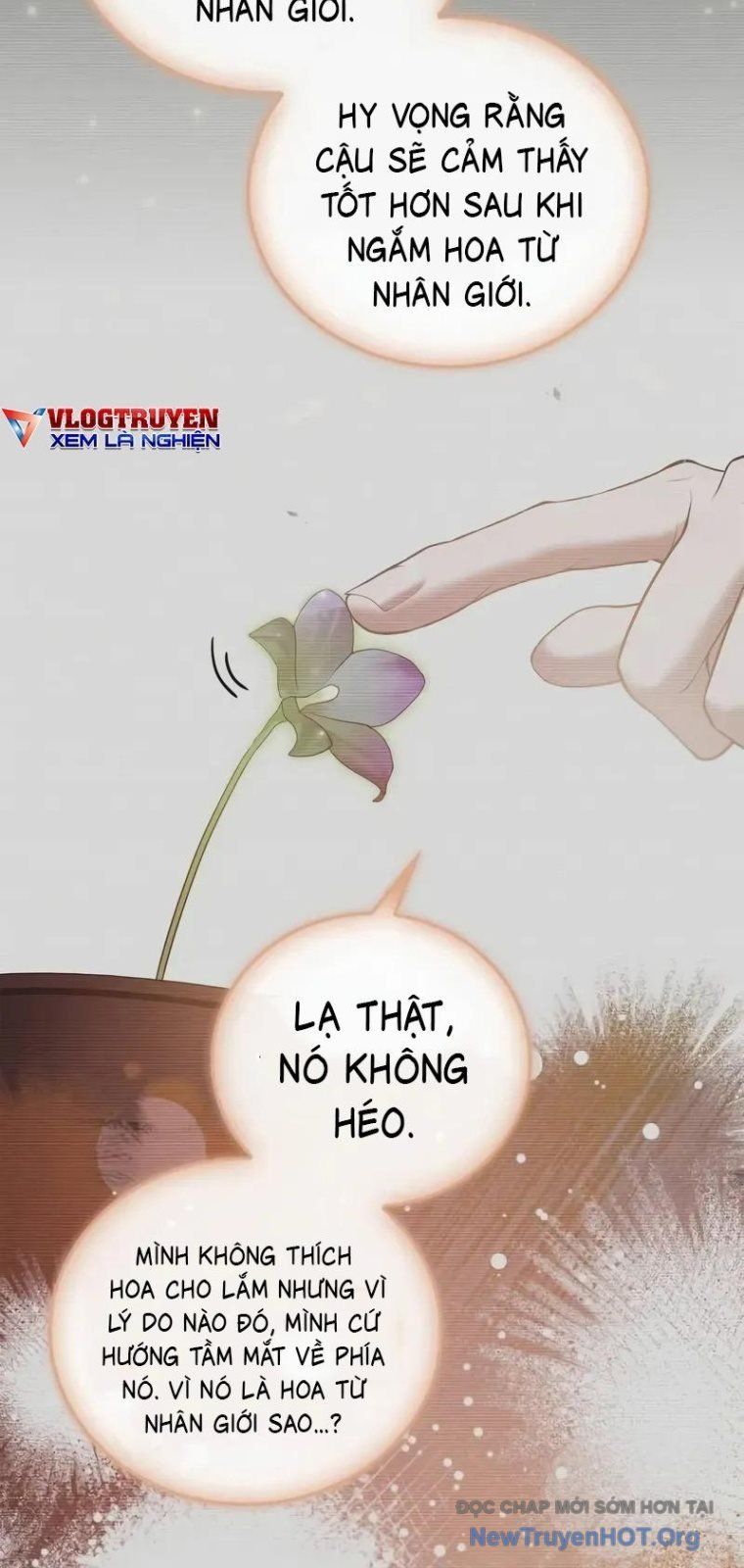 Tôi Không Tài Năng Đến Thế Đâu Chương 93 Ảnh 71
