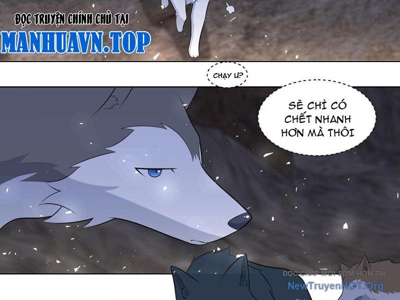 Trọng Sinh Thành Chó Của Nữ Thần Chương 414 Ảnh 9