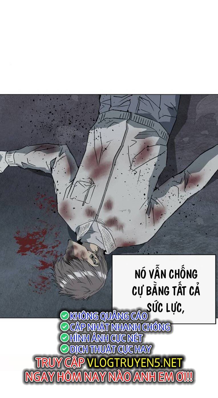 Weak Hero Chương 254 Ảnh 95