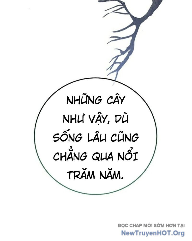 Hồi Sinh Huyết Mạch Nam Cung Chương 20 Ảnh 34