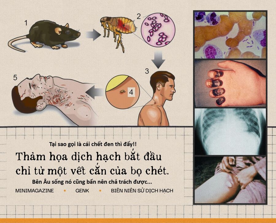 Hổ Đến Chơi Nhà (Puchimasu Miếu) Chương 156 Ảnh 19
